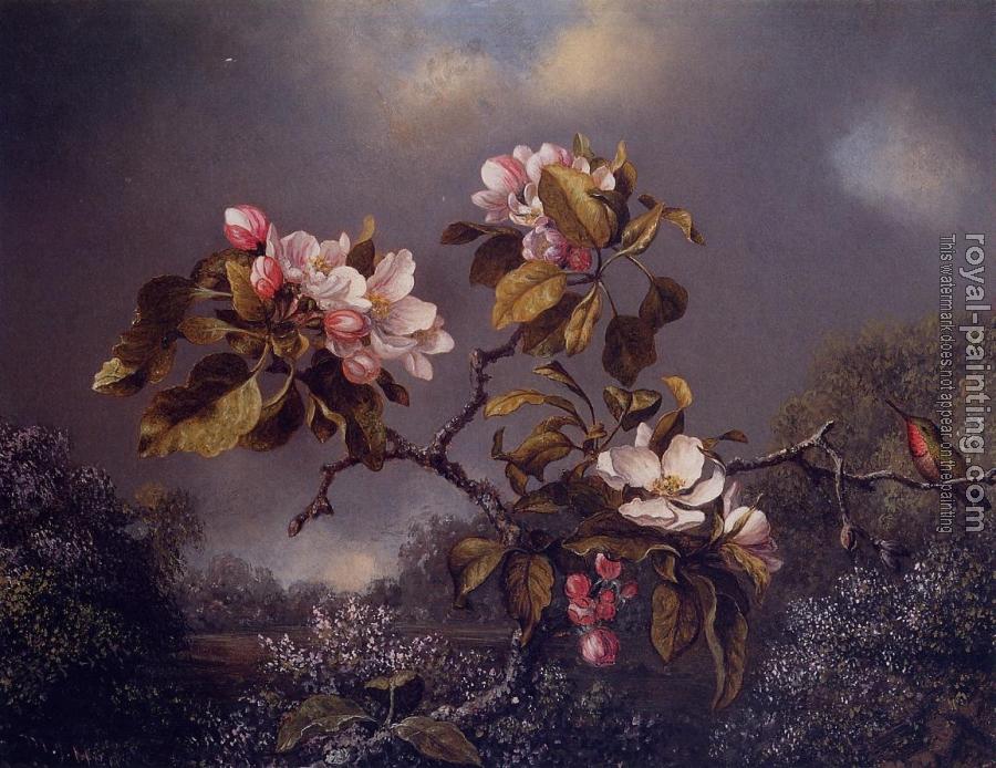 Martin Johnson Heade : Apple Blossoms and Hummingbird